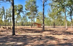 679 Live Oak Drive, Windsor, SC 29856