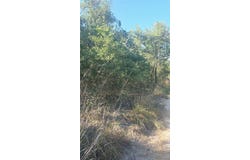 4th lot: 3, Ingleside, TX 78362