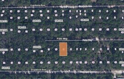 117 PALM Way, GEORGETOWN, FL 32139