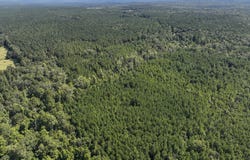Sam Booker Road, Mansfield, LA 71052