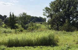 Millerton Road, Sharon, CT 06069