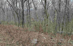 4621 Legacy Preserve Way SE, Brownsboro, AL 35741