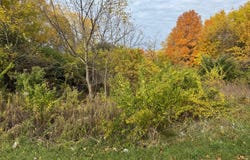 179 Collins Avenue, Benton Harbor, MI 49022