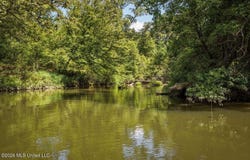 Hamp Lea, Magnolia, MS 39652