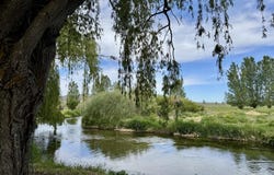 Picabo, ID 83348