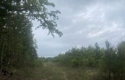 CR 3217, Atlanta, TX 75551
