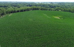 122 Acres Highway 21, Delta, IA 52550
