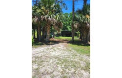 145 SE 340th St, Old Town, FL 32680