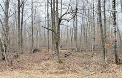 28 7/8 Avenue lot: 20, Birchwood, WI 54817