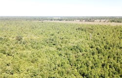 County Road 4308, Simms, TX 75574