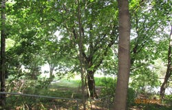 51772 Currant Road, Granger, IN 46530