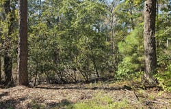 321 Bay View Drive, Chocowinity, NC 27817