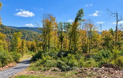 2050 RED SPRINGS ROAD, ALDERSON, WV 24910