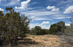 159 Mountain View, Pie Town, NM 87827