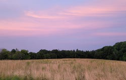 Bingham Road, Gilmanton, NH 03237