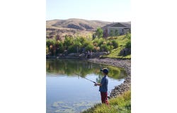 31032 N Swire Green Way, Eagle, ID 83629
