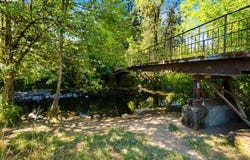 299 MILL St, FallsCity, OR 97344
