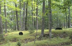 63XX E County Rd B, South Range, WI 54874