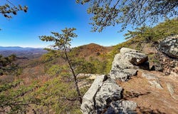 Tract A Mountain Ash Way, Sevierville, TN 37876
