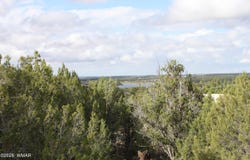 8319 Lone Pine Drive, Show Low, AZ 85901