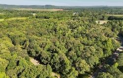 442 DAVIS STREET lot: 19.2 Acres, WILSONVILLE, AL 35186
