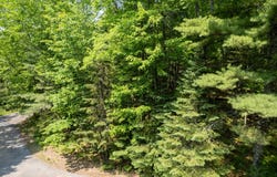 WOODHILL CT lot: 127, Minocqua, WI 54548