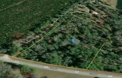 1312 GLORY Road, QUINCY, FL 32352