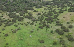 Hwy 36 W, Hamilton, TX 76531