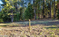 10 N 1337, Greer, AZ 85927