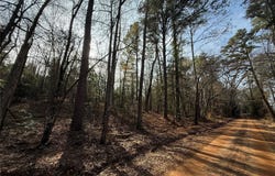 CR 2733, Marietta, TX 75566