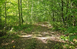 Off CTH S lot: 1, Phillips, WI 54555