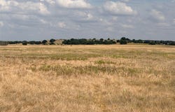CR 512, Hamilton, TX 76880