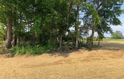 Sandhill Drive, Maineville, OH 45039