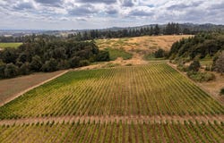 10420 SE HILLVIEW Dr, Amity, OR 97101