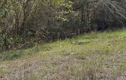 709 Locust St, Bastrop, TX 78602