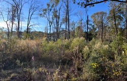 251 PR 7701, San Augustine, TX 75972