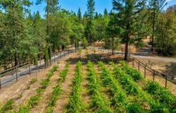 475 Penny Lane, Grants Pass, OR 97527