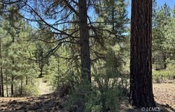 Friendship Drive, Chiloquin, OR 97624