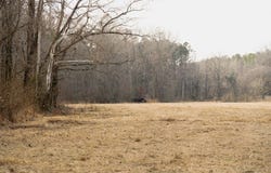 HWY 8 E, Gore Springs, MS 38929
