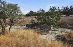 County Road 162, Evant, TX 76525