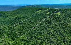Tower Lane, Walton, NY 13856