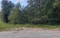 341 S COUNTY ROAD 315, INTERLACHEN, FL 32148