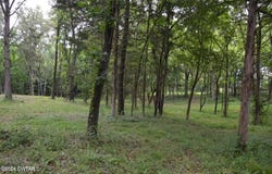 Burrow Lane, Milan, TN 38358