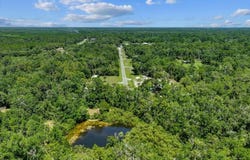 504 NW Roys Rd, Steinhatchee, FL 32359