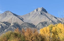 TBD 90.95 Houston Rd, Mackay, ID 83251