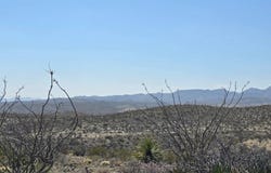 50 Grapestone Rd, Alpine, TX 79852