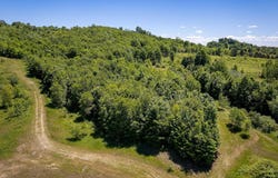 Nessen City Road, Copemish, MI 49625