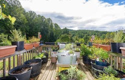 1781 WEAVER RD, ELKTON, VA 22827