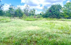 215 E Henderson St, Reklaw, TX 75784