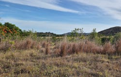 Los Llanos, Coamo, PR 00769